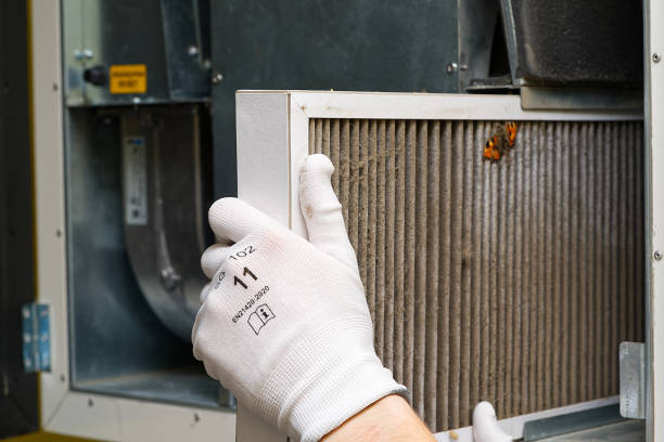 Best Air Duct Cleaning Near Me  in Prairie City, IA