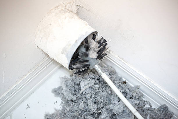 Air Duct Mold Removal in Prairie City, IA